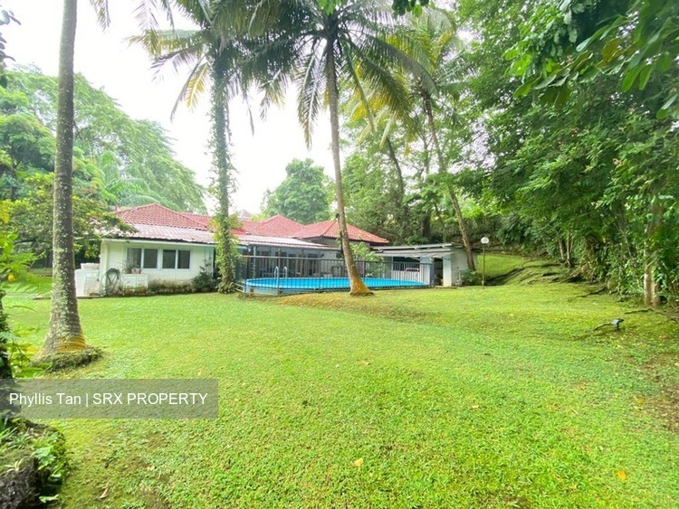 Leedon Road (D10), Detached #491924581